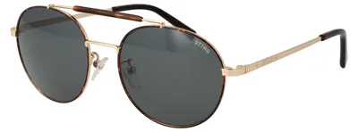 Produktbild von Sting Sonnenbrille SST305 0320 53 Herren Braun