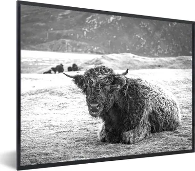 Produktbild von MuchoWow® Gerahmtes Poster Schottischer Highlander - Berg - Tiere 80x60 cm - Poster mit Schwarzem Bilderrahmen Wandposter Rahmen Foto Bilder - Schwarzem - Mit Gestell