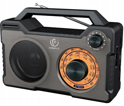 Rebeltec Rodos Tragbares Radio, Bluetooth 5.0, FM/MW/SW, USB und microSD