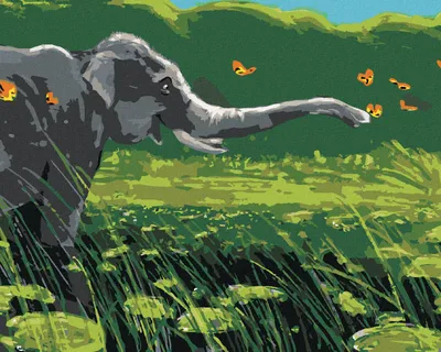 Produktbild von Zuty - Malen nach Zahlen - ELEFANT UND SCHMETTERLINGE, 40x50 cm, ohne Keilrahmen