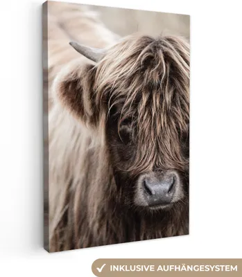 Produktbild von MuchoWow® - Leinwandbilder - Schottischer Highlander - Tiere - Hoorn, Wandbild, Wanddeko Bilder Wohnzimmer, 80x120 cm