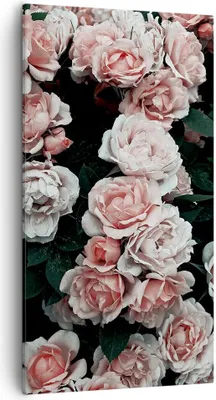 Produktbild von Bild auf Leinwand - Leinwandbild - Einteilig - Rosen Blumen Blätter - 55x100cm - Wand Bild - Wanddeko - Wandbilder - Leinwanddruck - Bilder - Wanddekoration - Leinwand bilder - PA55x100-4760