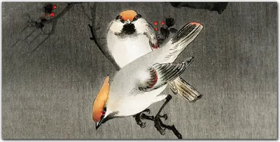 Produktbild von Coloray Bild aus Acryl 120 cm x 60 cm - Acrylblock mit Bild Gehärtetes Acryl Wohnzimmer Dekoration Wanddekoration Küche - Asien Zweig Tiere Vögel