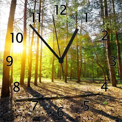 Produktbild von Wallario Design Wanduhr Sonnenstrahlen tief hinter dem Wald aus Echtglas, Größe 30 x 30 cm