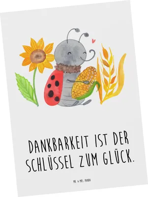 Produktbild von Mr. & Mrs. Panda Postkarte Erntedankfest Dankbarkeit - Weiß - Geschenk, Ansichtskarte, Freude, Familienfeste, Dank, Feiertag, Freunde, Postkarten, Ansichtskarten, Glück