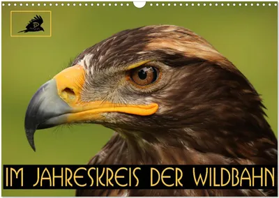 Produktbild von Im Jahreskreis der Wildbahn (Wandkalender 2025 DIN A3 quer), CALVENDO Monatskalender