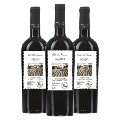 Produktbild von Giuaani Saperavi Qvevri Georgischer Rotwein Trocken (3 x 0,75L)