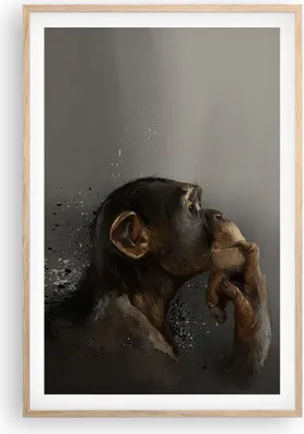 Produktbild von Gerahmtes Poster - Rahmen in heller Eiche - Schimpanse Porträt Grafik - 61x91,5 cm - Wand Bild - Wanddeko - Wandbilder - Kunstposter - Wandposter - Bilderrahmen - Bilder - Kunstdruck - P2NPA61x91-4676