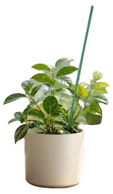 Productafbeelding van Plantensteunen, duurzame metalen constructie, geen montage nodig, groen