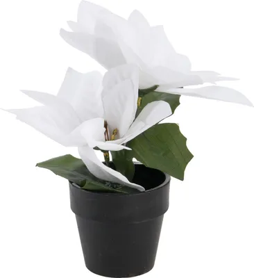 Produktbild von Weihnachtsstern im Topf, künstlich, H. 18 cm
