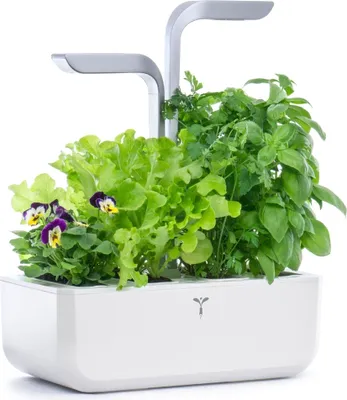 Obrázok produktu pre Véritable SMART sebestačná vnútorná záhrada, arktická biela
