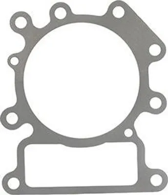 Image de Joint De Culasse Adaptable Briggs & Stratton. Remplace Origine 794114.