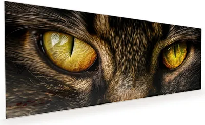 Produktbild von Küchenrückwand Spritzschutz Glas mit Motiv Katzenaugencloseup 40 x 40 cm