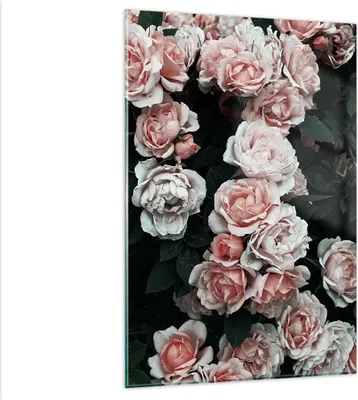 Produktbild von Bilder auf glas - Einteilig - Rosen Blumen Blätter - 80x120cm - Glasbilder - Wandbilder - Bilder - zum Aufhängen bereit - Wanddekoration aus Glas - Glas Bilder - Wandbild auf Glas - GPA80x120-4760