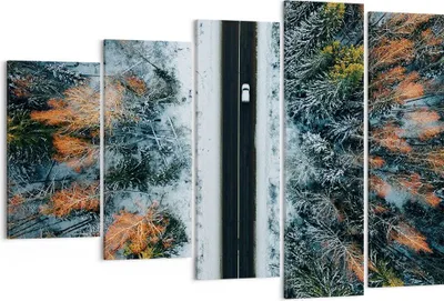 Produktbild von Bild auf Leinwand - Leinwandbild - 5 Teile - Wald Weg Schnee - 150x100cm - Wand Bild - Wanddeko - Wandbilder - Leinwanddruck - Bilder - Wanddekoration - Leinwand bilder - Wandbild - EG150x100-4654