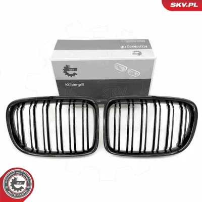 Zdjęcie produktu dla ESEN SKV 66SKV233 Kratka chłodnicy do BMW X1 (E84) – czarna, błyszcząca