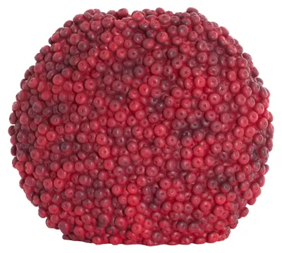 Obrázek produktu pro Light & Living Váza BERRIES plastová vínová - 44x19x37 cm