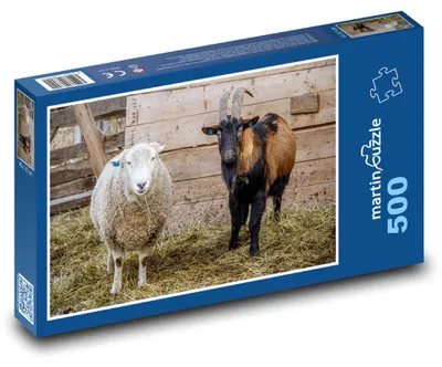 Zdjęcie produktu dla Puzzle 500 Farma - zwierzęta gospodarskie - martinpuzzle