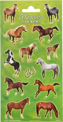 Produktbild von Basic Paarden Stickervel Doos 10 Stuks
