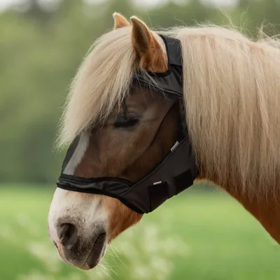Produktbild von BUSSE Fliegenmaske FLY GUARD FREE