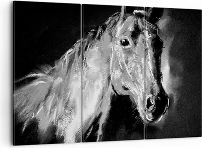 Produktbild von Bild auf Leinwand - Leinwandbild - Pferd Natur Tier - 105x70cm - Wand Bild - Wanddeko - Wandbilder - Leinwanddruck - Bilder - Kunstdruck - Wanddekoration - Leinwand bilder - Wandkunst - CE105x70-3426