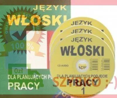 Image de Jezyk wloski dla planujacych podjecie pracy
