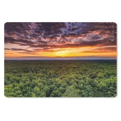Produktbild von MuchoWow® Mauspad Mousepad Wald - Nacht - Himmel - Horizont - Bäume 27x18 cm - Mousepads - Maus Mat - Pad - Mausunterlage - Büroartikel - Desk Matten