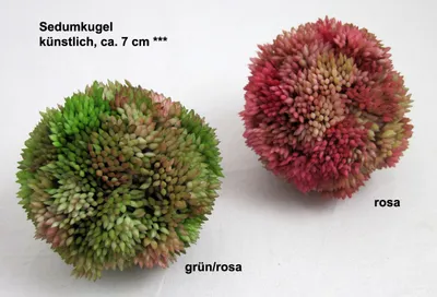 Produktbild von 1 Sedumkugel künstlich, grün, ca. 7 cm