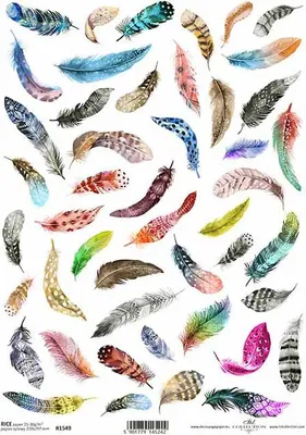 Image de ITD Papier de riz Decoupage Papier de bricolage Soft Paper Serviettentechnik, plumes R1549