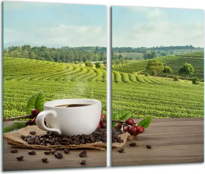 Immagine prodotto di Piastre copripiano cottura 2 pezzi 30x52 Vetroceramica copripiano cottura vetro caffè