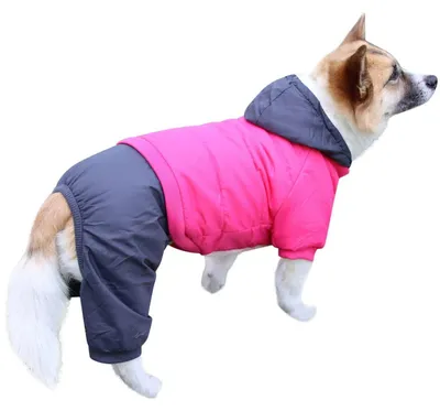 Immagine prodotto di Tuta da neve per cani con cappuccio removibile e gambe, colore rosa e grigio, taglia M