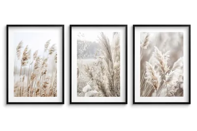 Produktbild von Wandposter fürs Wohnzimmer, Boho Poster Pampasgras 3x 50x70cm