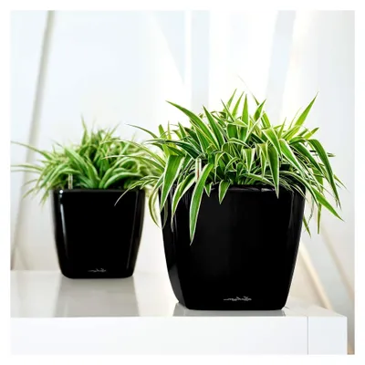 Produktbild von Quadro Premium 21 LS - Komplettset Weiß