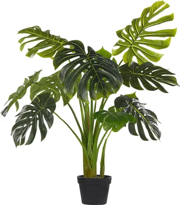 Zdjęcie produktu dla BELIANI Sztuczna roślina doniczkowa materiał syntetyczny 113 cm monstera dekoracja do wnętrz