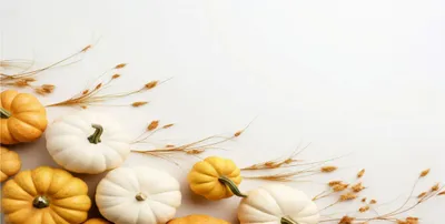 Produktbild von Magnetische Heizkörperabdeckung Herbstkürbisse 60x100