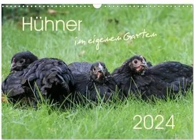 Immagine prodotto di Calendario da parete 2024 (formato A3 orizzontale), CALVENDO: Bellissime e di alta qualità immagini di galline felici che vivono nel proprio giardino (CALVENDO Animali)