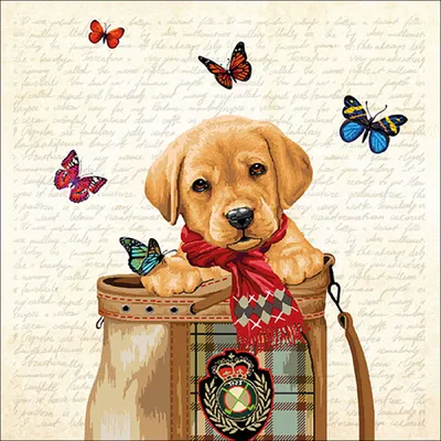 Produktbild von Servietten Papier 33x33cm 3-lag. mit Labrador Hundewelpe Motiv 20 Stk.