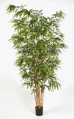 Produktbild von artplants.de Künstlicher XL Bambus FUDO, 1885 große Blätter, grün, 300cm - Kunst Bambus - Deko Pflanze