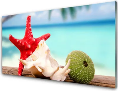 Produktbild von Acrylglasbilder 100x50 Wandbild Druck Südsee Seestern Muscheln Kunst