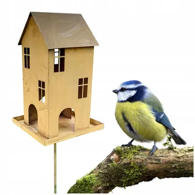 Produktbild von KAPAGA | Vogelhaus auf Ständer ROST | Dekoratives Vogelhaus mit EKO Rost | Ideal für Garten, Balkon und Terrasse | Wetterfestes und Rustikales Futterhaus für kleine Vögel