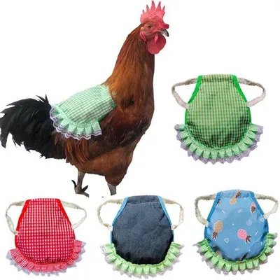 Produktbild von Hühnerhalfter, Vogelschutz für Hühner, 4 Stück, Hühnerhalfter mit elastischen Riemen zum Schutz der Federn