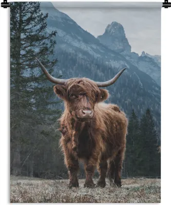 Produktbild von MuchoWow® Wandteppich Wandbehang Schottisches Hochlandrind - Tiere - Wald 120x160 cm Tapisserie Dekoration Wandtuch - Wohnzimmer - Moderne