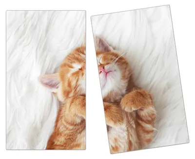 Produktbild von Spritzschutz Herdabdeckplatte Schneidebrett aus Glas Kuschelnde Katze 2-Teilig (60x52cm)