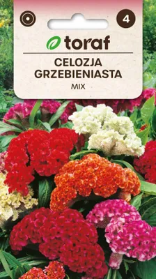Zdjęcie produktu dla Celozja grzebieniasta MIX NAsiona kwiatów - 466 Toraf