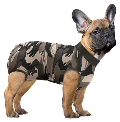 Produktbild von Genesungsanzug für Hunde und Katzen, Bodysuit für Bauchwunden, Genesungsshirt für männliche und weibliche Haustiere, chirurgischer Anzug, bequemer Anzug nach Operationen, Anti-Leck-Einteiler für Hunde