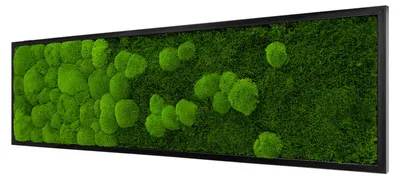 Produktbild von Moosbild River Design (140x40, schwarz)