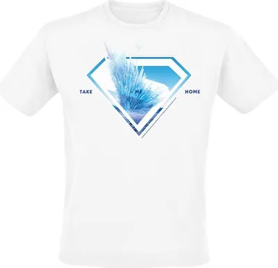 Produktbild von Superman T-Shirt Herren 2025 - Superman Logo Svalbard Take Me Home weiß XL