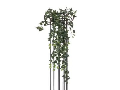 Zdjęcie produktu dla EUROPALMS Krzew bluszczu Classic, sztuczny, 100 cm (82502209)