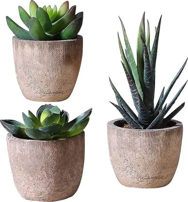 Produktbild von Famanu Kunstpflanze Bonsai - 3 Stück mit Topf