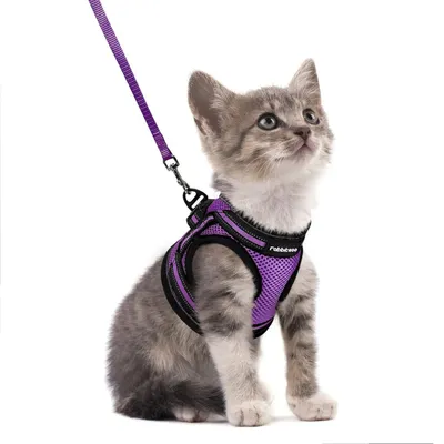 Produktbild von Katzengeschirr mit Leine Set ausbruchsicher verstellbar weich reflektierend Lila S